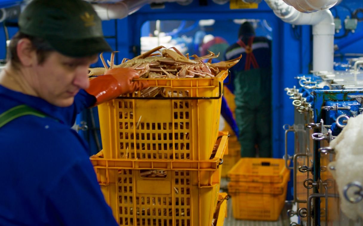 (Опциональная подпись под изображением) The fishing fleet of GC "Russian Crab" is 19 crab ships. Currently, it is the largest fleet among Russian crab companies.